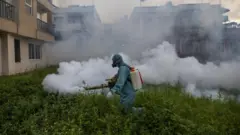 लामखुट्टेको फुल नष्ट पार्ने अभियान