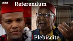 Mbazulike Amechi