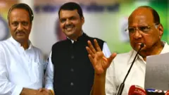 देवेंद्र फडणवीस. अजित पवार. शरद पवार