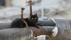 опалення