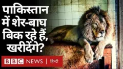 लाहौर के शेर