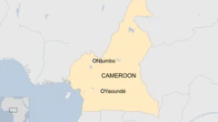 Cameroon map