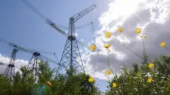 електроопора, лінія електропередач