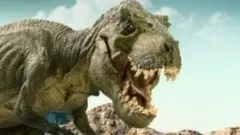 પ્રતીકાત્મક તસવીર