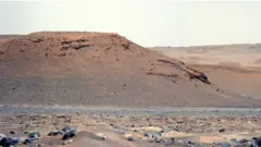 Main delta
