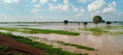 Ambaliyar ruwa a gonaki