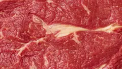 Carne