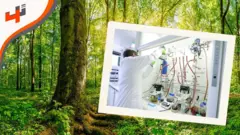 يعرفنا نسيم رمضان على تقنية قد تساهم في حل مشكلة تغير المناخ وغيرها من المشاكل البيئية.