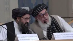तालिबान