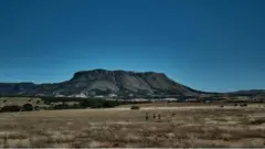 Lafa hongeen rukutame, Madagaaskaar