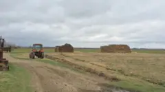 Bu gün Qubanın Qarxun kəndində ot tayasından başlayan yanğın evlərər keçib. 5 ev yanıb