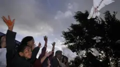 د سولې په هیله کوترې پورته کول