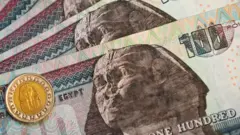 الجنيه المصري