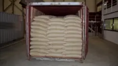 container with coffee bean bags