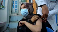 ویکسین
