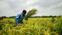 কৃষি জমি ফেলে রাখলে খাস খতিয়ানভুক্ত করা হবে বলে বলছে জেলা প্রশাসন