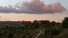 countryside