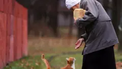 Кекса аёл ва мушук