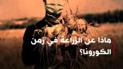 الصورة من حلقة "دنيانا" نأكل مما نزرع في زمن الكورونا....