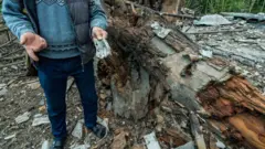 şarapnel parçası