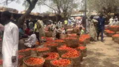 Kayan gwari a Kano