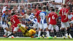 Brighton and Manchester United players