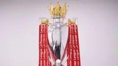 Premier League trophy