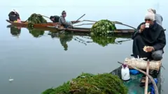 શિકારા
