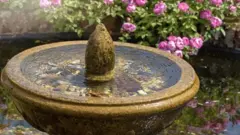 कारंजं, ज्ञानव्यापी मशीद,