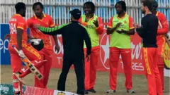 کرکٹ