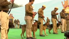 ਵੇਖੋ ਪੁਲਿਸ ਦੇ ਕੁੱਤਿਆਂ ਦੀ ਪਰੇਡ