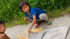 10 triệu người Bắc Hàn cần cứu đói khẩn cấp (Ảnh minh họa)