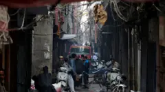 Garee ibidda dhaamsu