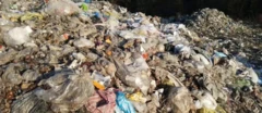 زباله