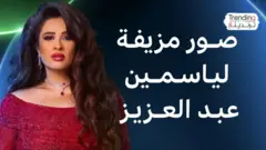 صورة مفبركة للفنانة ياسمين عبد العزيز تشعل مواقع التواصل