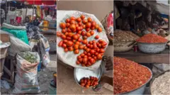 Ọnụego ngwa nrị arịala elu ugbua