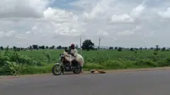 Gonakin kan hanya a babbar hanyar Zaria zuwa Sokoto 