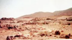 বদর ময়দান