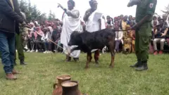 Abbootiin Gadaa seera tuaman
