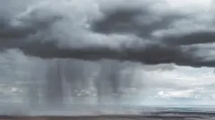 ગુજરાત વરસાદ