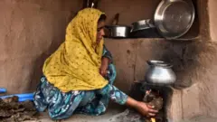 મહિલા, ઘરકામ