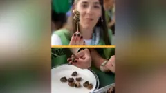 स्नेल