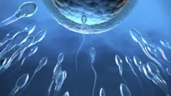 ஆண் விந்தணு