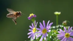 ንህቢ ኣብ ሃለዋት ደቂ ሰባት ዓብይ ኣስተዋጽኦ ከምዘለዎ ይንገር