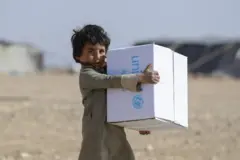 ماشوم