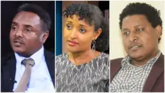 ከተከሳሾቹ መካከል ዶ/ር ወንድወሰን አሰፋ፣ መስከረም አሰፋ እና ረ/ፕሮፌሰር ሲሳይ አውግቸው 