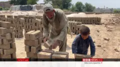 پاکستان
