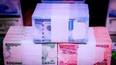 New naira notes
