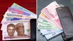 old and new Nigeria banknotes