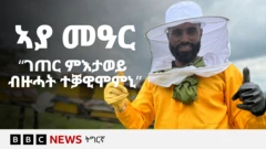 ወልደብርሃን ኣሳይ - ኦዚል ኣያ መዓር - ብዝብል ኣብ ማሕበራዊ መራኸቢ ቲክቶክ ይፍለጥ። ነባርነቱ ኣብ መቐለ ኮይኑ ካብ ግዘ ቁልዕነቱ ጀሚሩ ክሳብ 15 ዝበፅሑ ዓይነታት ስራሕ ከምዝፈተነ ይዛረብ። ናብ ኮሌጅ ኣትዩ ብዝሰልጠኖ ሞያ'ውን ንዝተወሰነ እዋን ሰሪሑ።
👉🏽 ሳብስክራይብ ግበሩ https://bbc.in/445Jzbz
ናብርኡ ንምልዋጥን ቁጠባዊ ዓቕሙ ንምድልዳልን ንዝፈተኖም ዝተፈላለዩ ዓይነታት ስራሕ ከም መሰላል ተጠቂሙ ሎሚ ካብ ከተማ ናብ ገጠር ክወፍር ኣብ ዝገበሮ ስራሕ ተፀሚዱ ኣሎ።